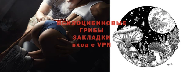 шишки Дмитровск