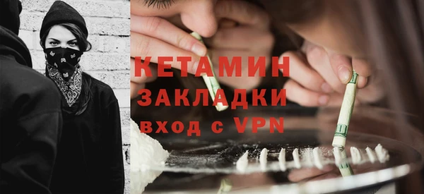 шишки Дмитровск