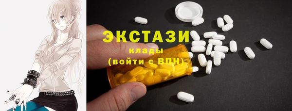 шишки Дмитровск