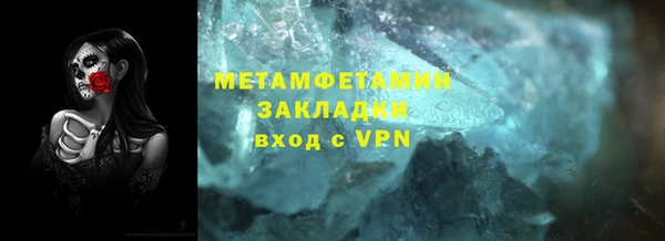 шишки Дмитровск