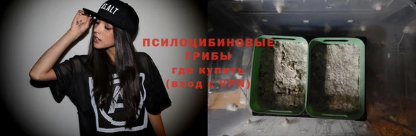 шишки Дмитровск