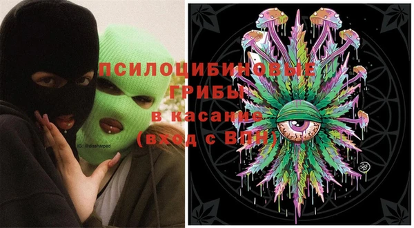 шишки Дмитровск