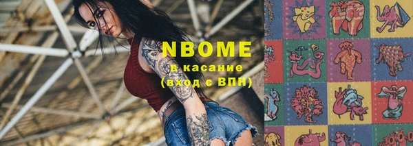 шишки Дмитровск