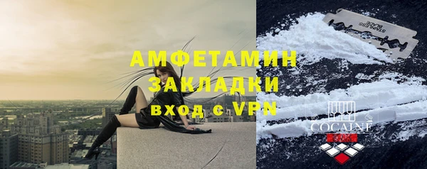 шишки Дмитровск