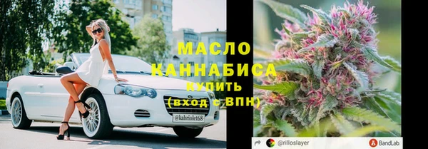 шишки Дмитровск