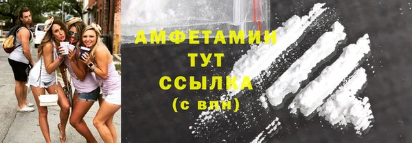 шишки Дмитровск