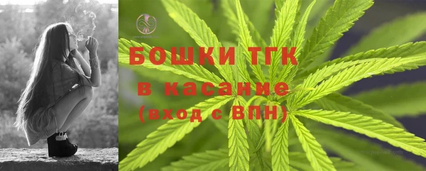 шишки Дмитровск